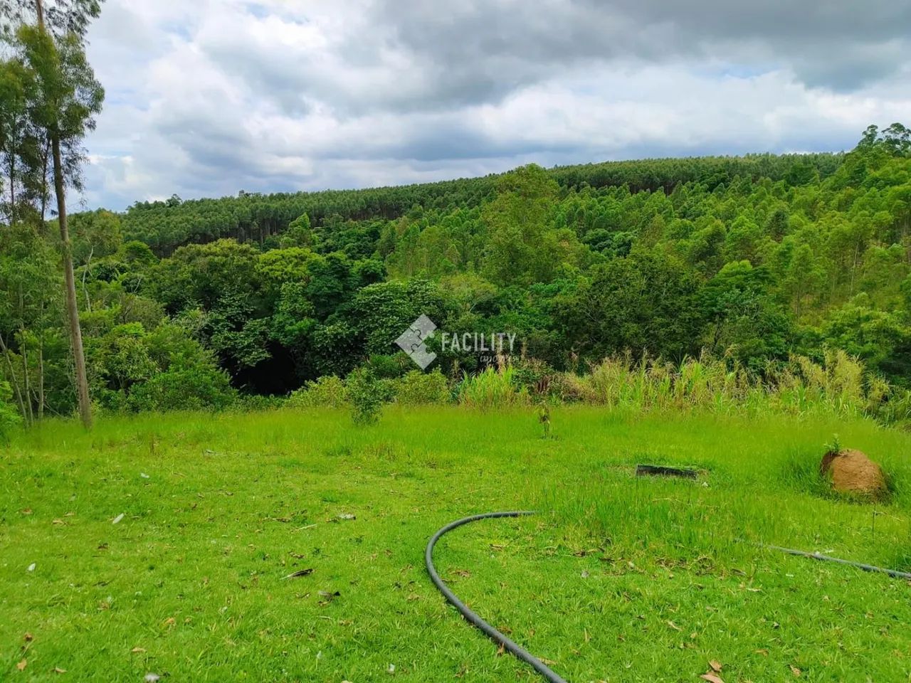 SÍTIO A VENDA NA REGIÃO DE ITAPETININGA-SP - Foto 4