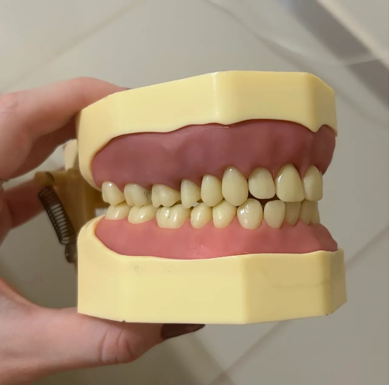 MANEQUIM ODONTOLÓGICO da ORAIS
