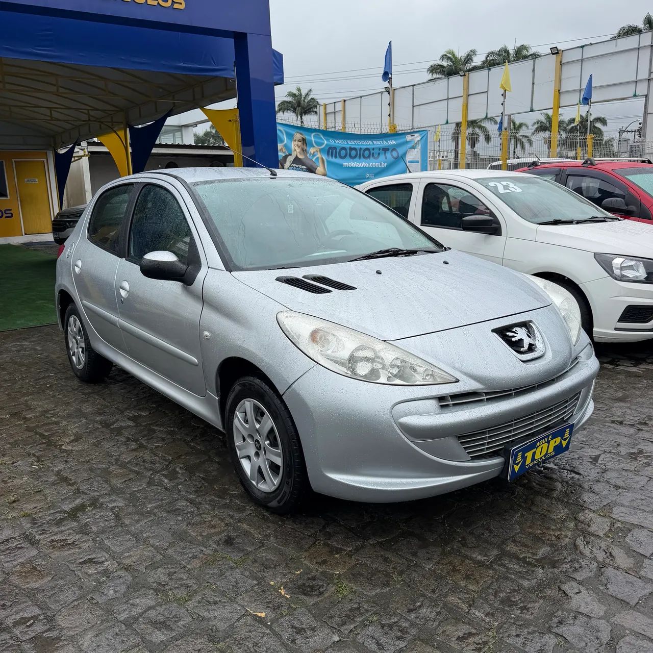 Peugeot 207 207 XR 1.4 FLEX 8V 5P 2012
