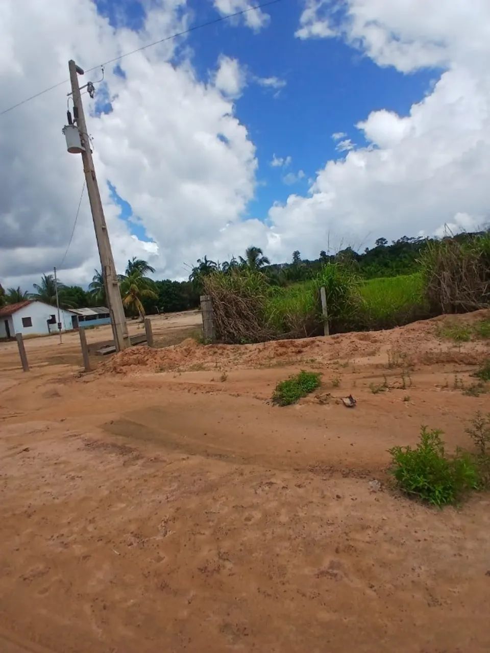 Terra pra sair logo - Foto 2