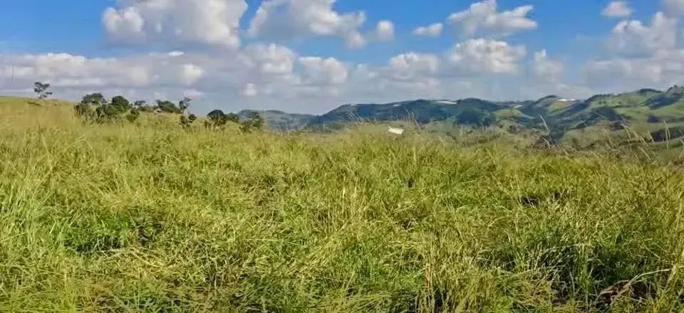 Terreno com vista 360 - Foto 5