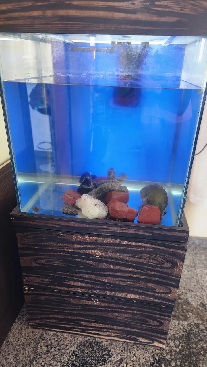 Aquário 