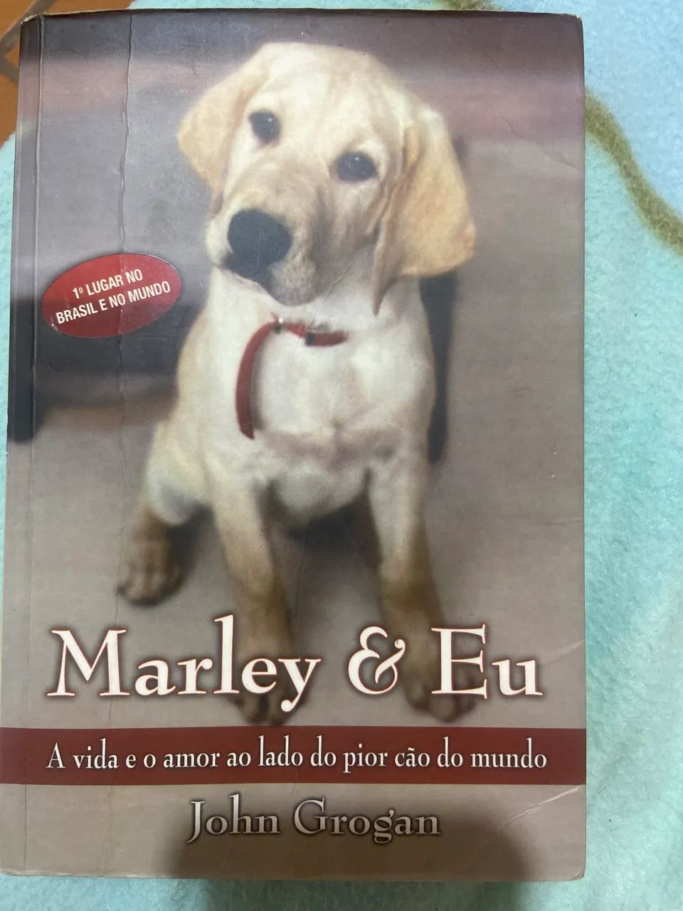 Livro Marley e Eu (John Grogan) 