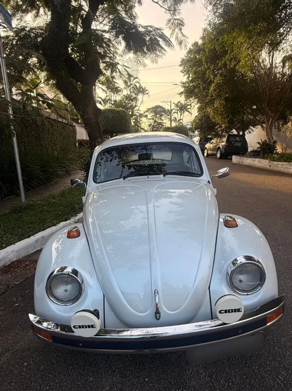 Volkswagen Fusca Fusca (gasolina) 1976