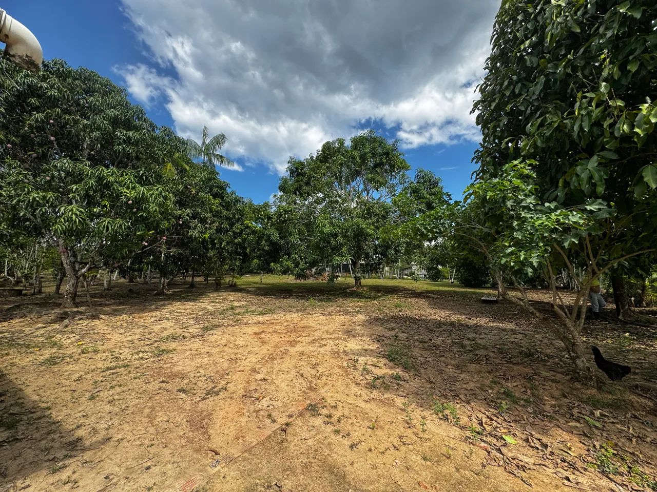 Vendo ou troco - Foto 4