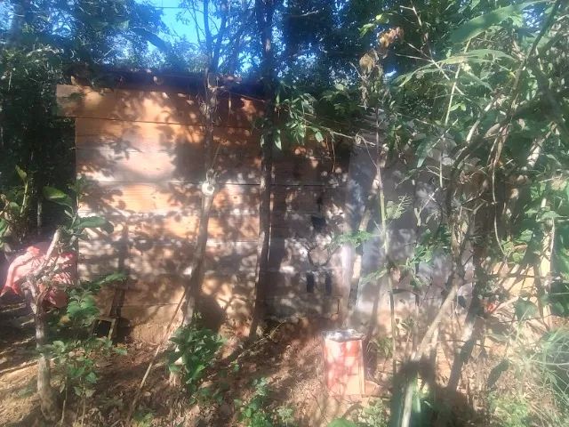 Oportunidade - Sitio Encontro das Águas - 70.000m2 - Foto 4