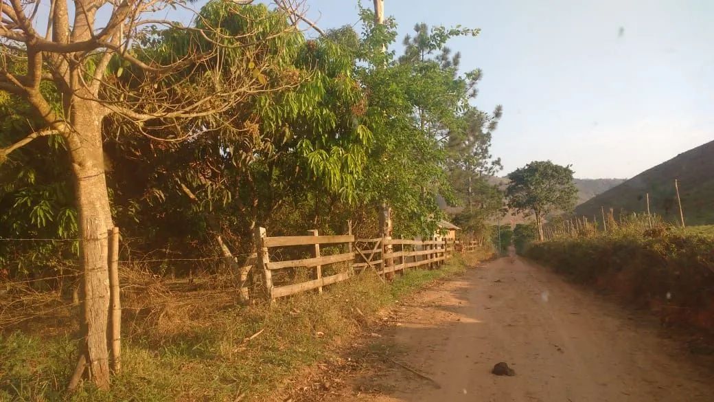 Alugo chácara  - Foto 3