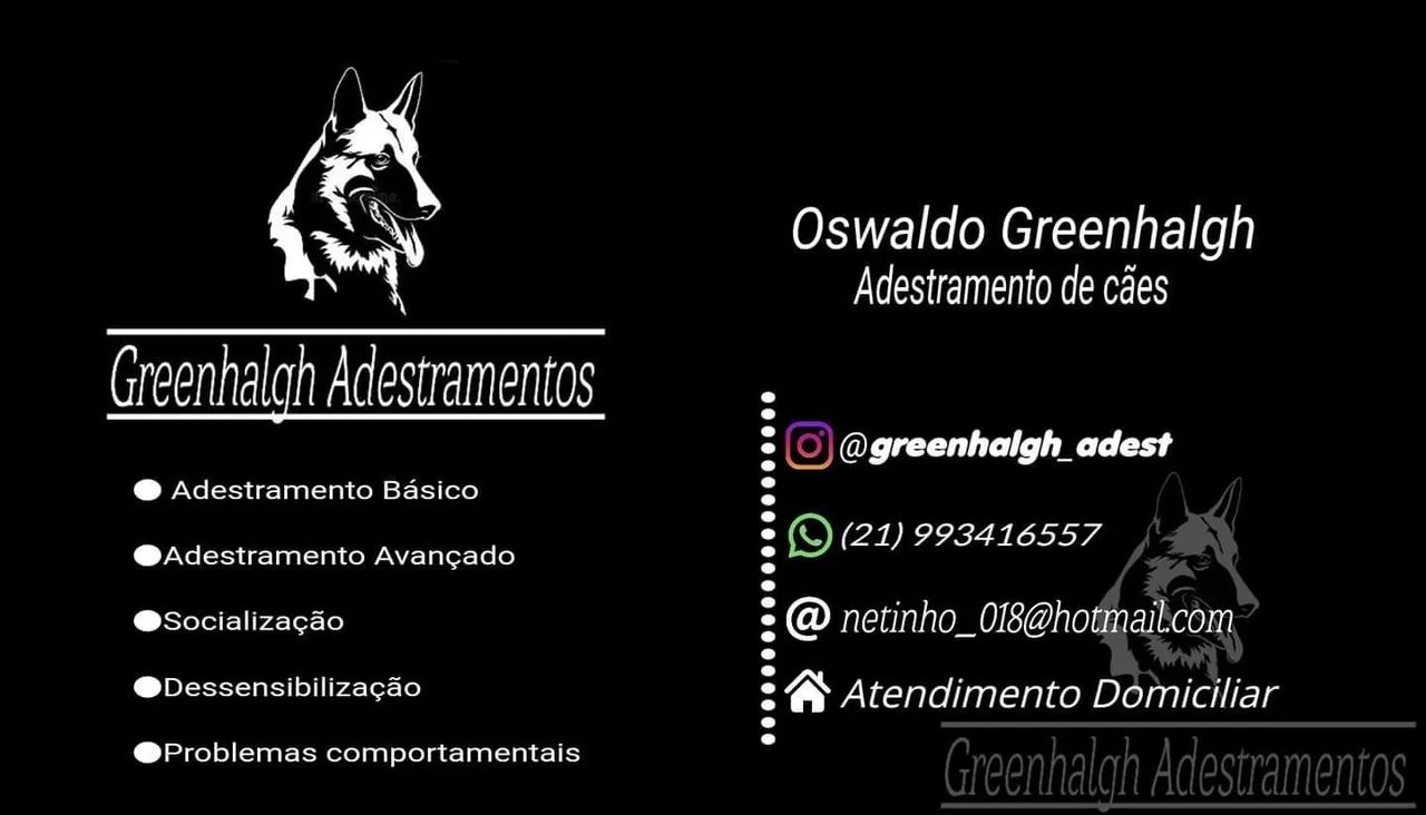 Adestrador de cães 