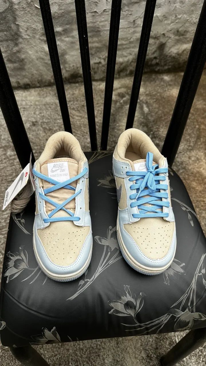 Tênis Nike Dunk Low Pro
