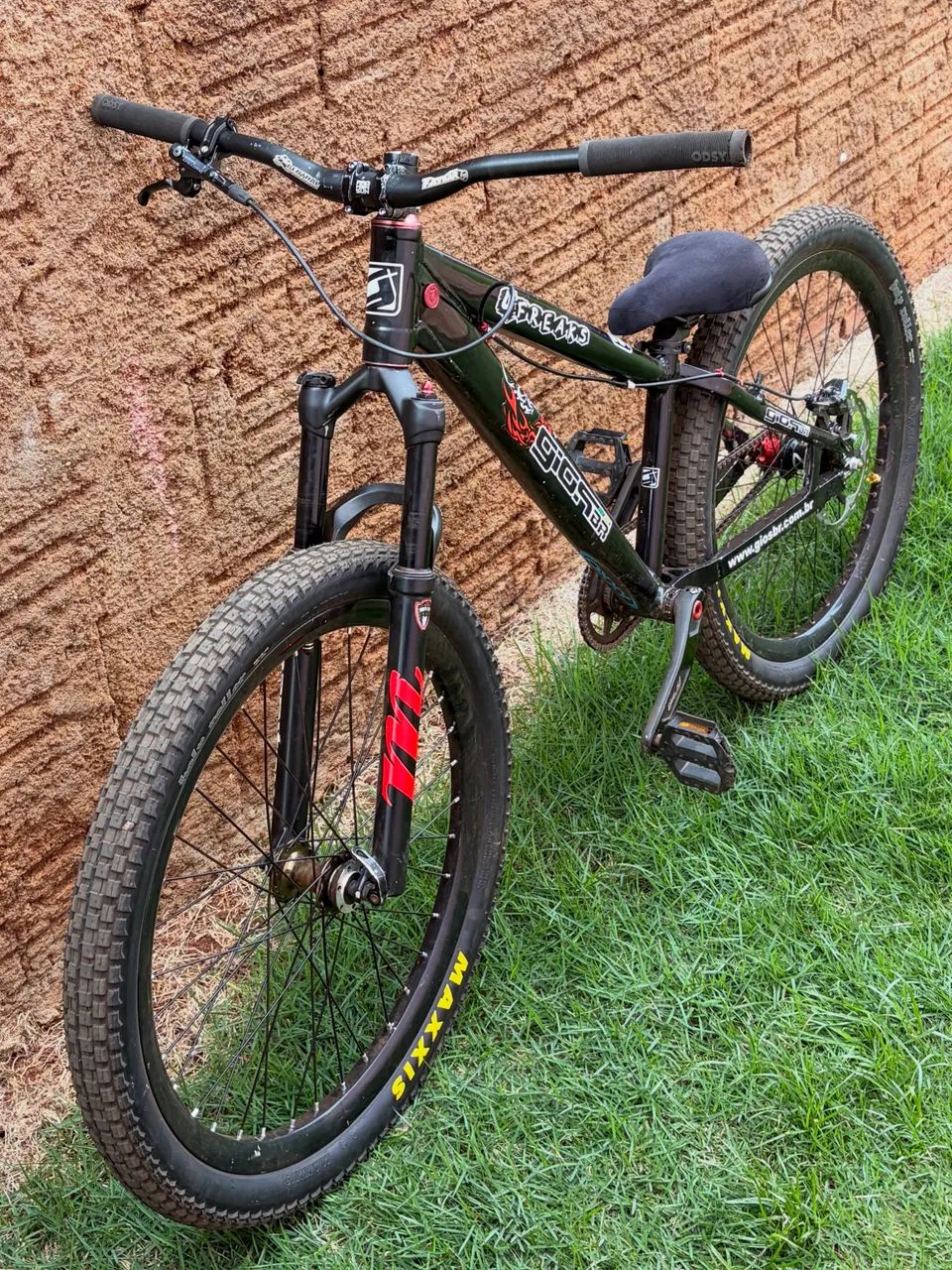 Gios 4Freaks repintada 2013 - Foto 3