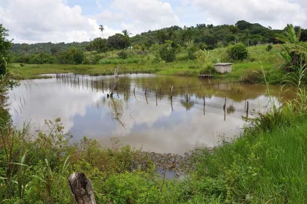 Granja no Conde