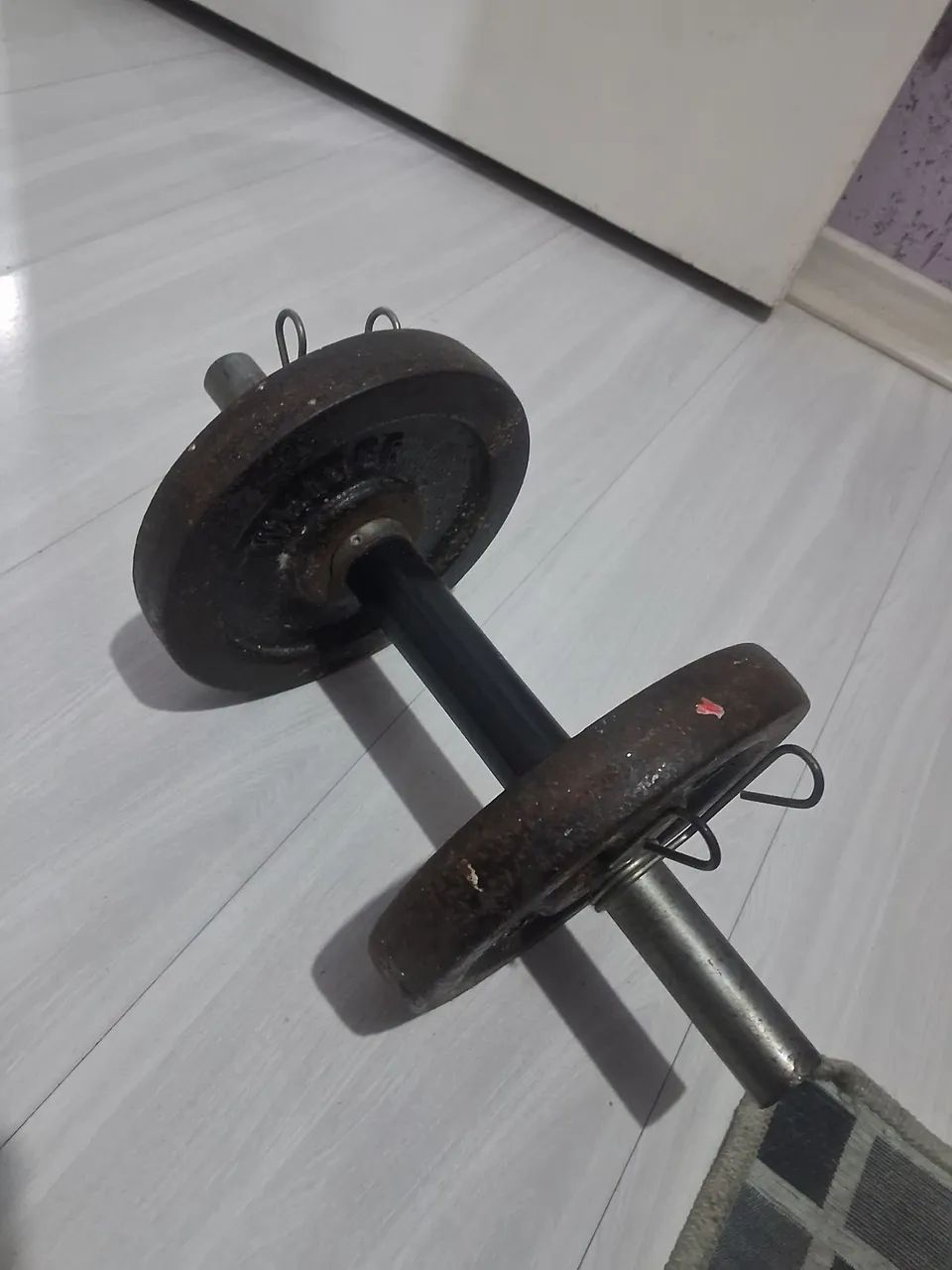 Halteres  - Foto 2