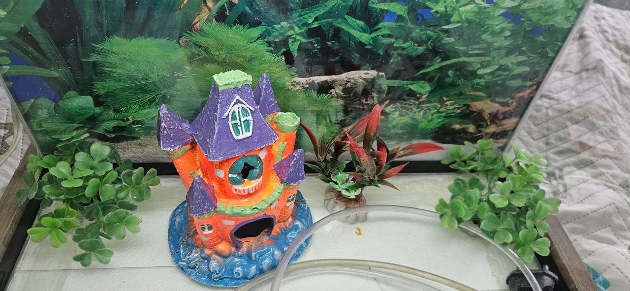 Aquário 30 Litros com 2 luminárias e enfeites - Foto 2