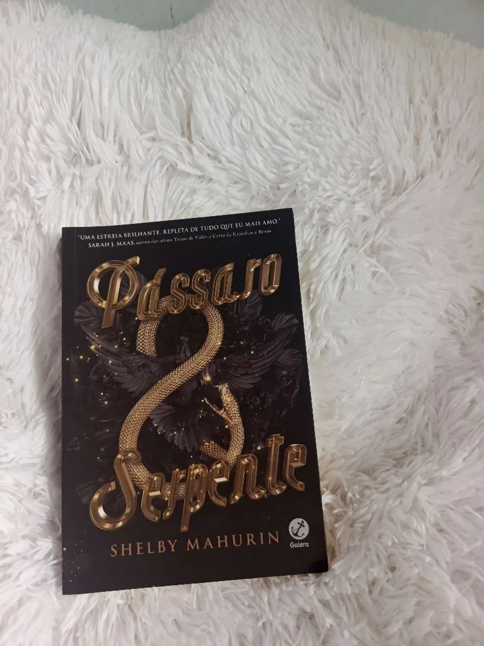 Livro: Pássaro & Serpente 