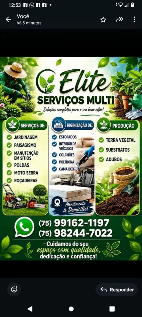 Lavagem a seco