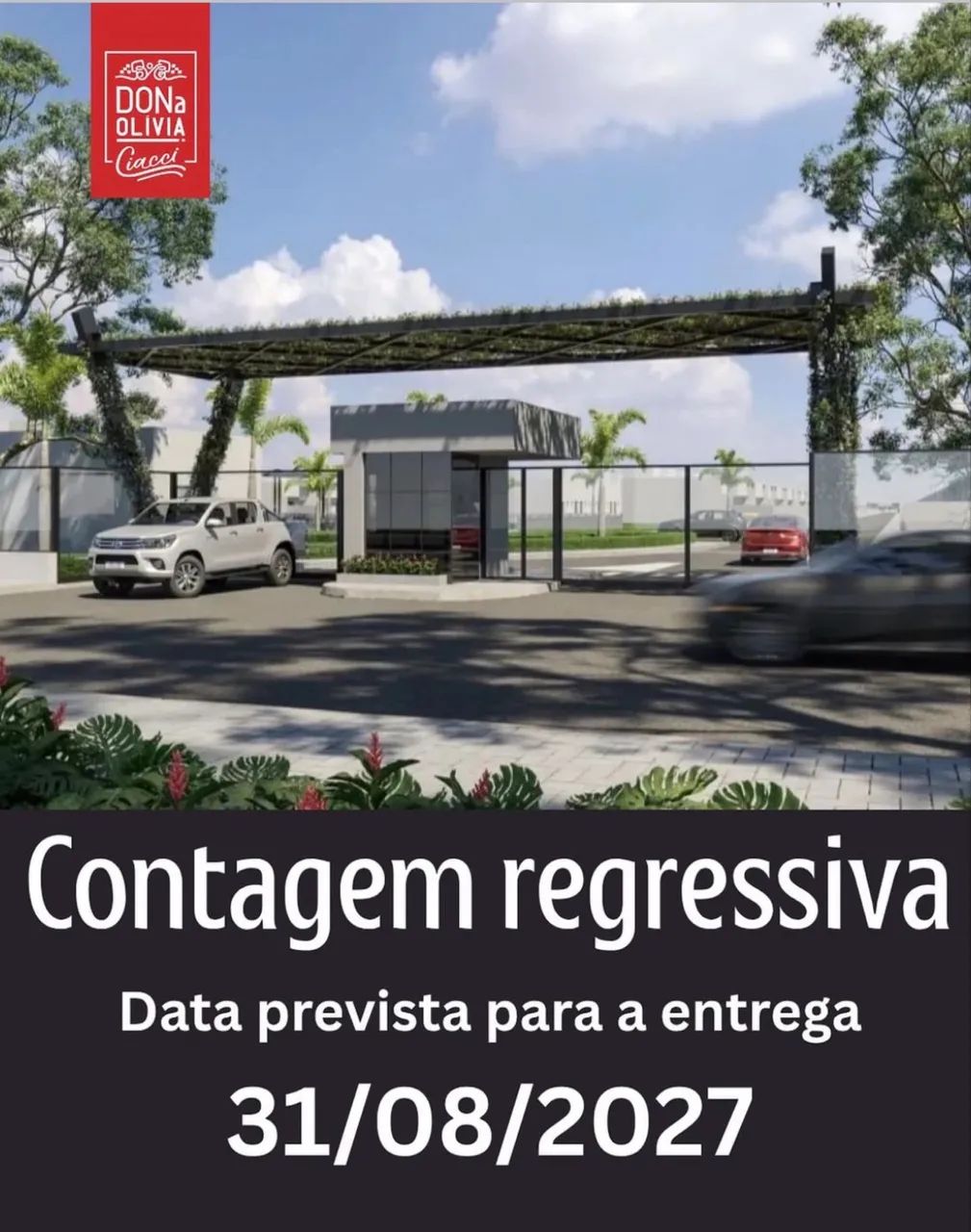 REPASSE DONA OLÍVIA CIACCI - Foto 5
