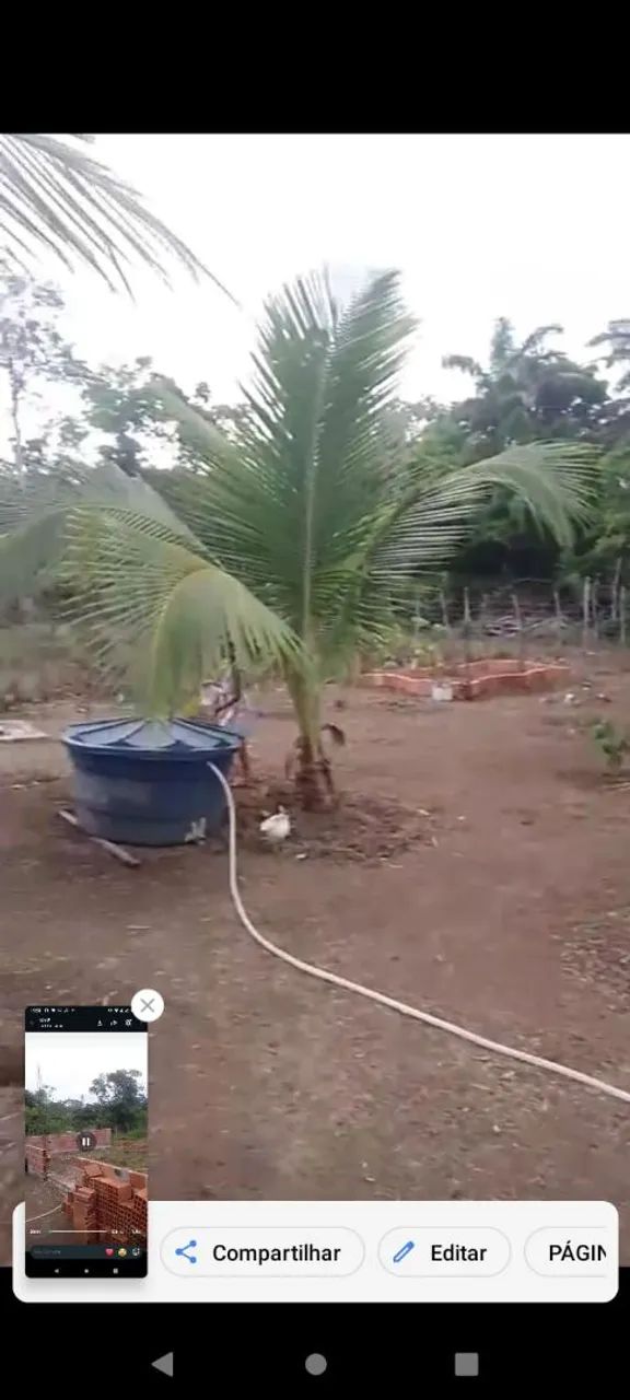 Terreno - Foto 2
