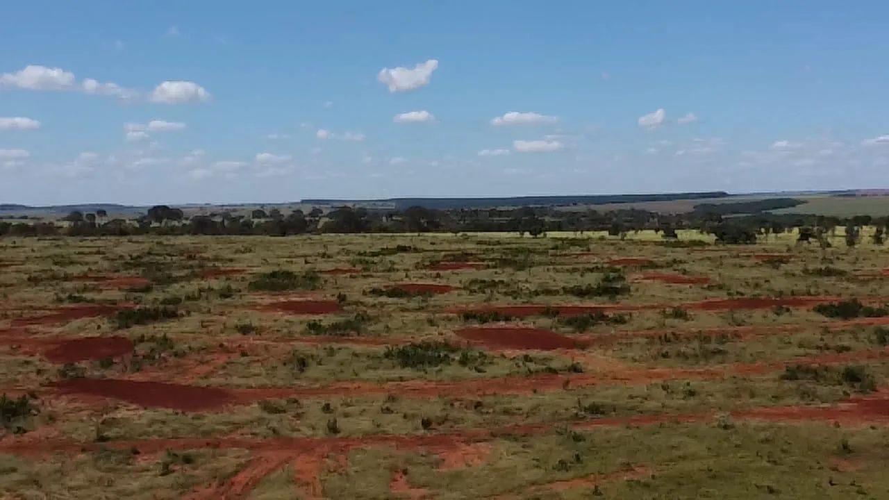 Fazenda dupla aptidão municípios do Prata  - Foto 4