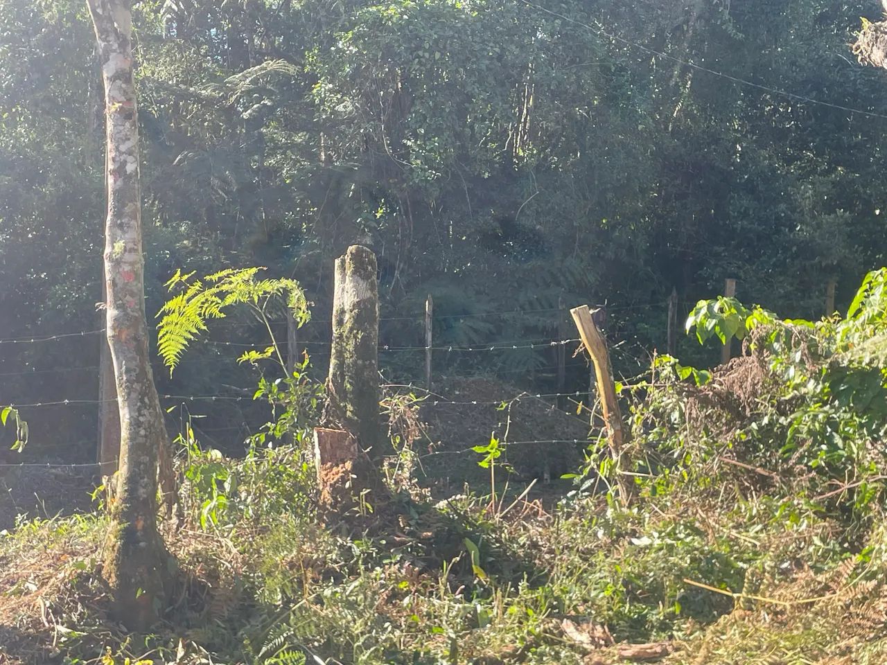 Terreno em Ibiúna  - Foto 5