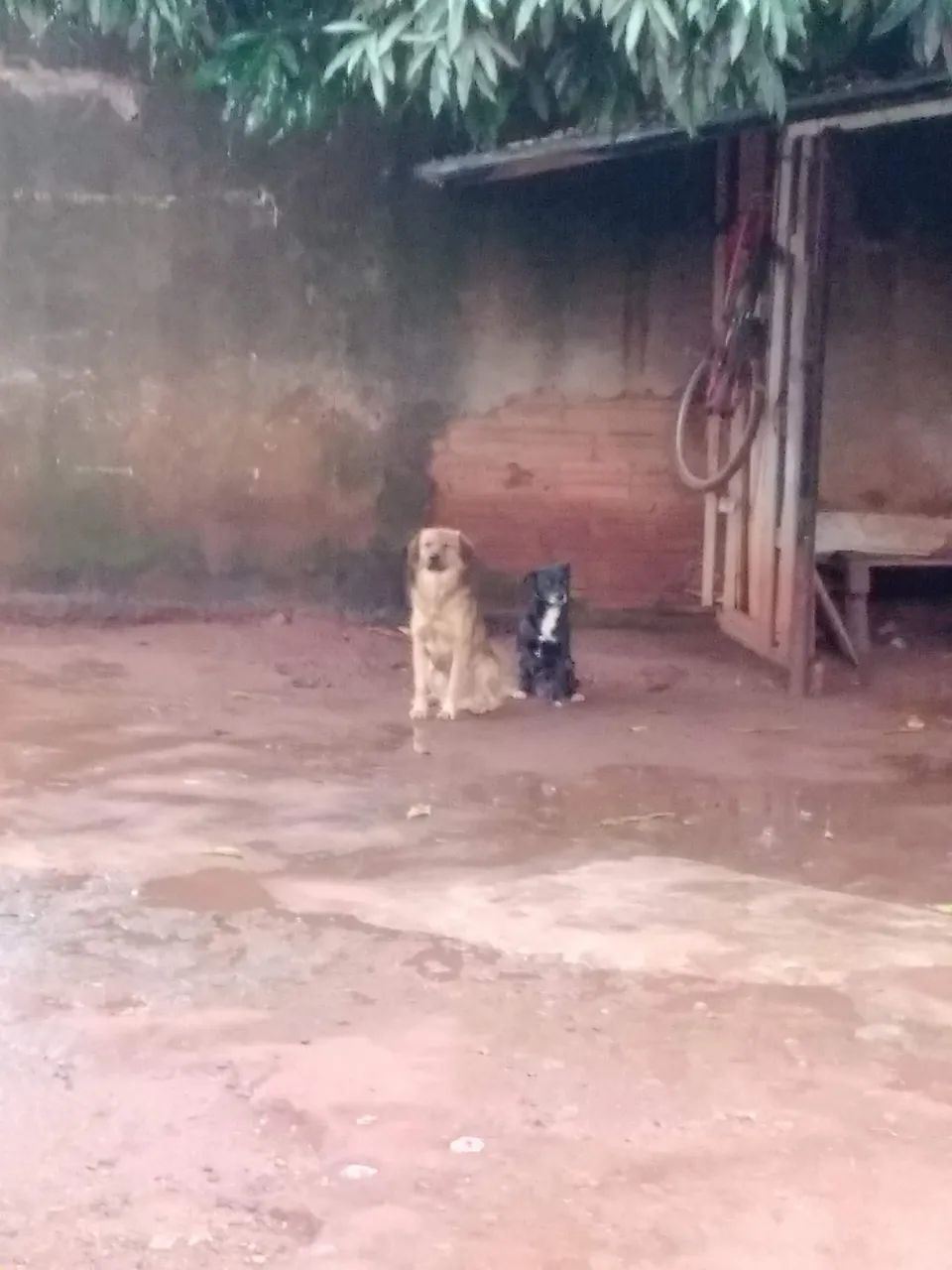 Vendo um lote 