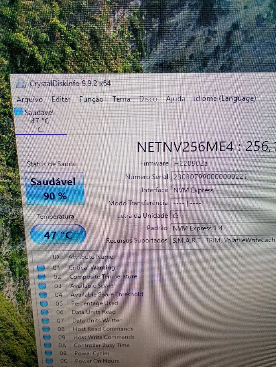 SSD NVMe 256 GB  - Foto 2