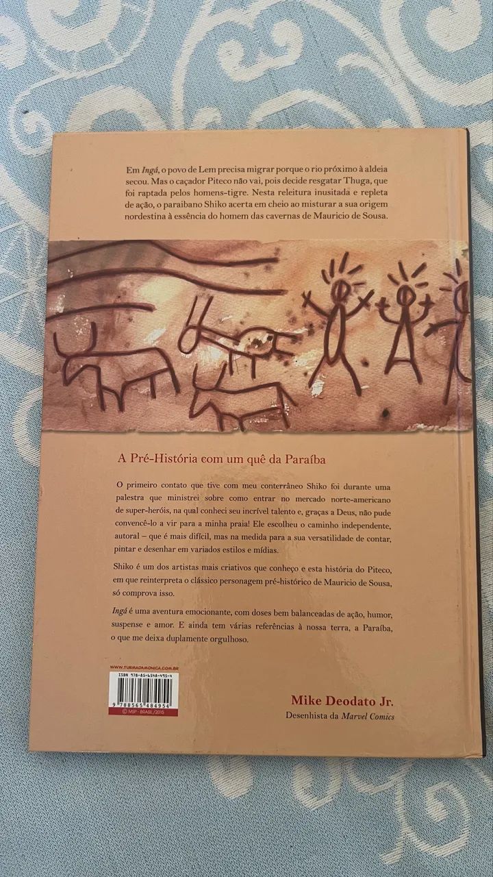 Piteco Ingá - Foto 2
