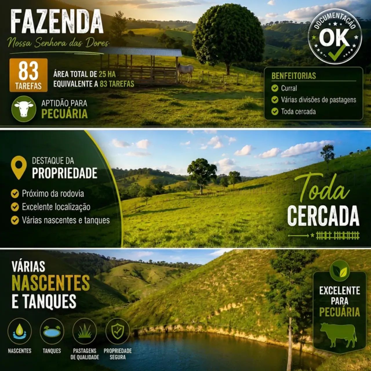 FAZENDA - 83 Tarefas - Nossa Senhora das Dores - Foto 3