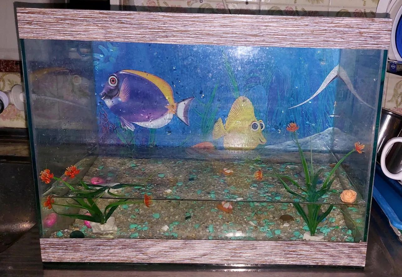 Aquario - Foto 2