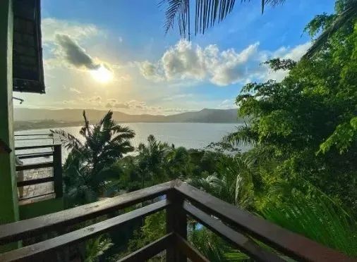 Comercial no bairro Praia Mole - Foto 3