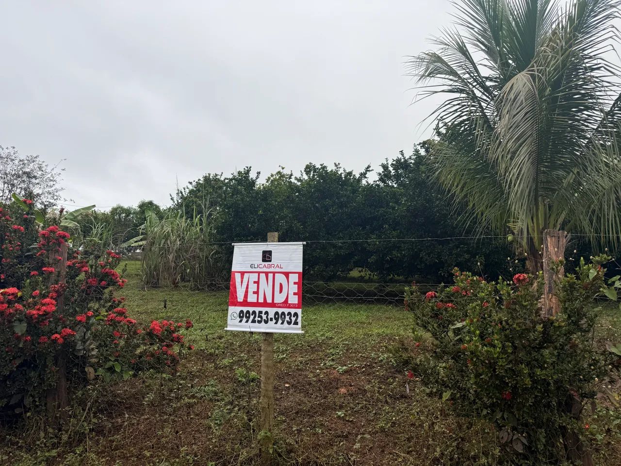 Assentamento Mineira Aguacu 
