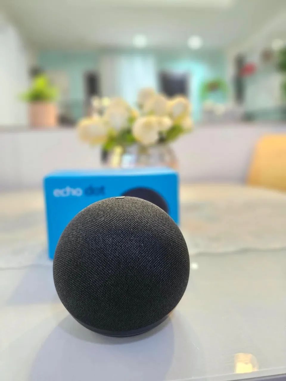 Alexa - Foto 2