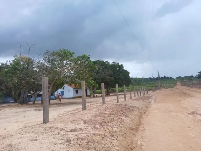 Terra pra sair logo