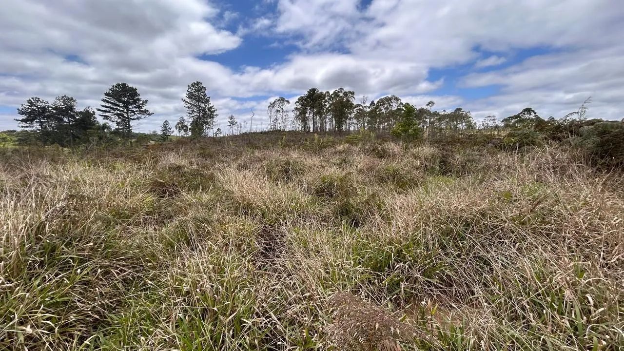 Terreno Rural para Venda em Salesópolis, Alegre - Foto 5