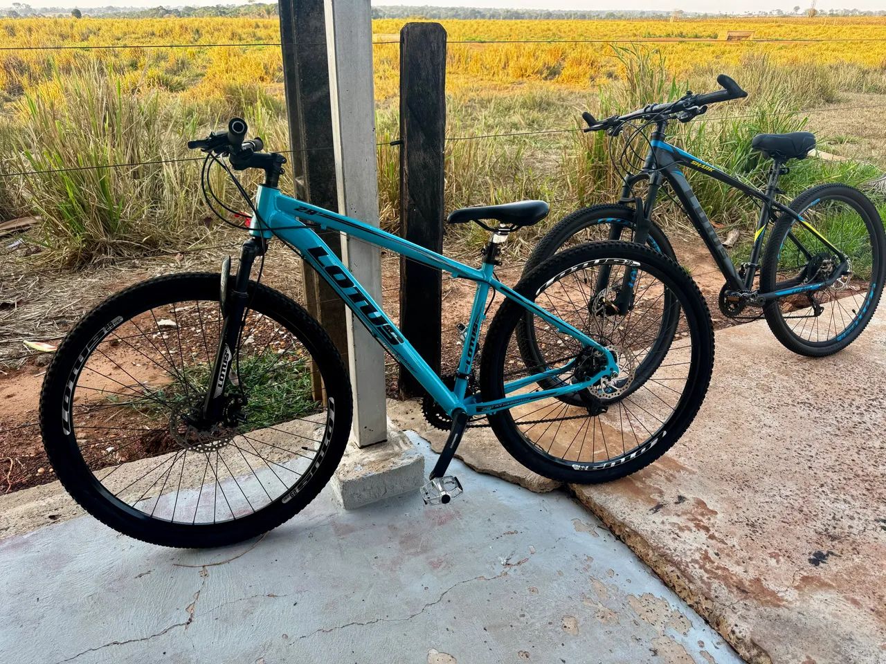 Bicicletas 