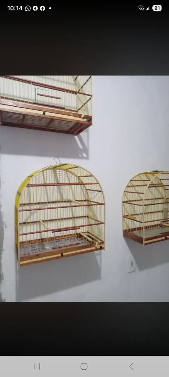 Gaiolas 