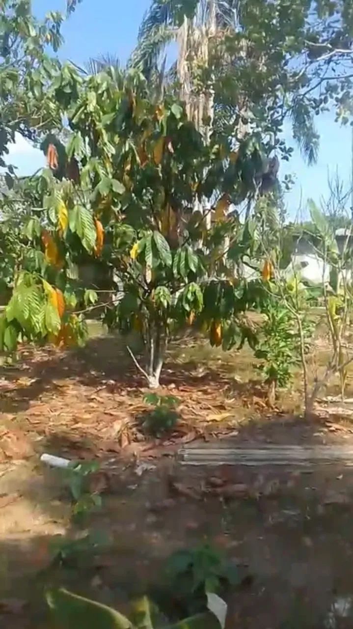 Lote na chácara Açutuba!!! - Foto 5
