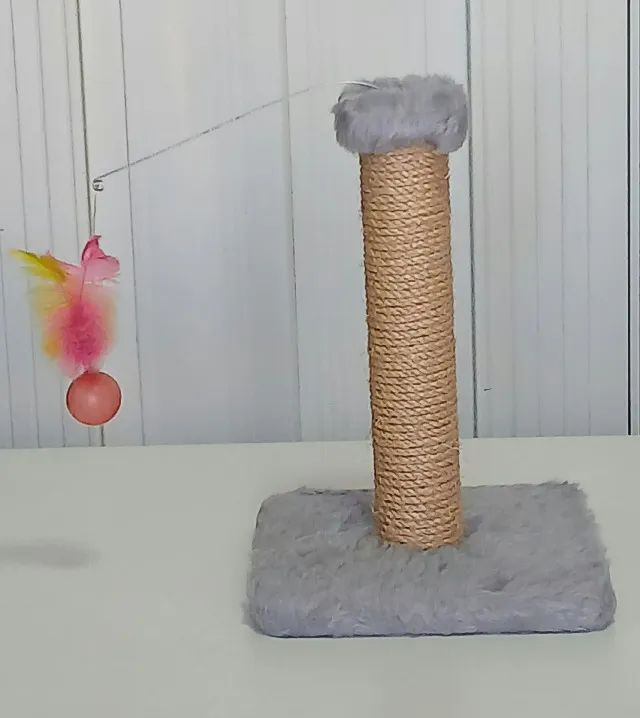 araodo de gato - Foto 3