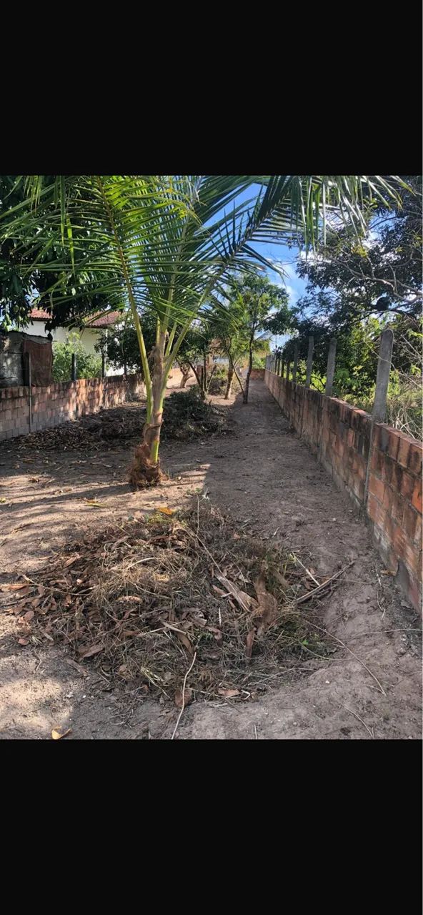 Vende-se terreno 6x40 santo Amaro $25 mil