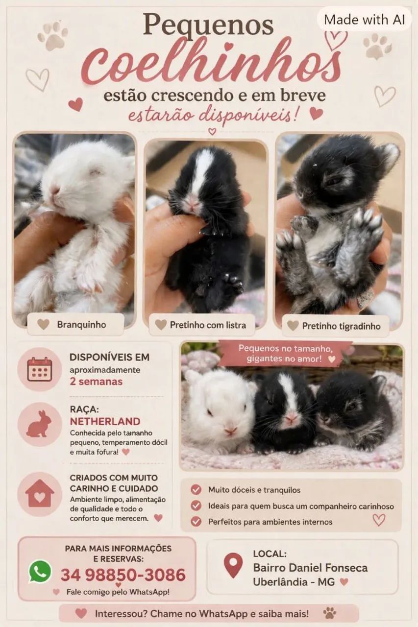 COELHINHOS