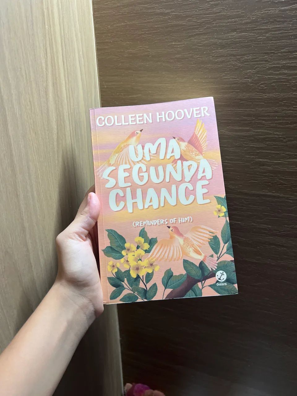 Livro 