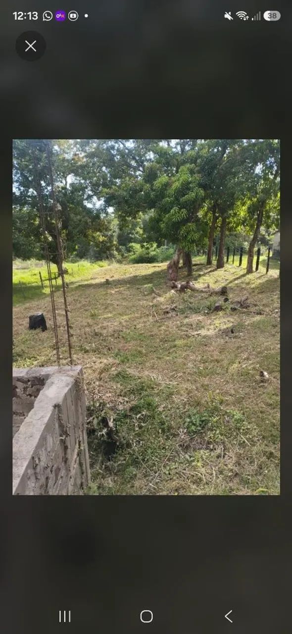 Lote  - Foto 4