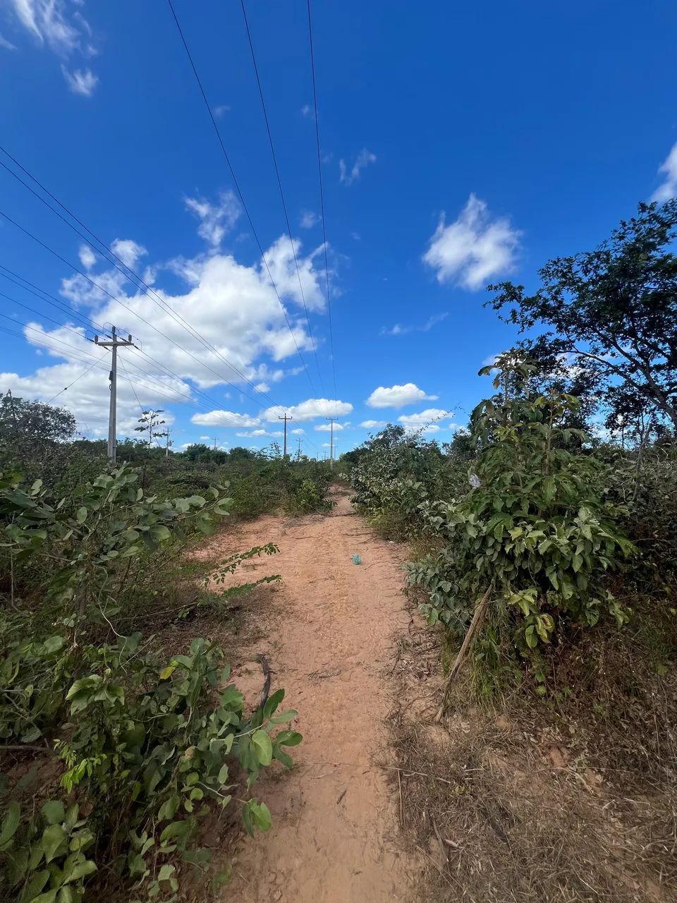 2,5 hectare Terrenão  - Foto 5