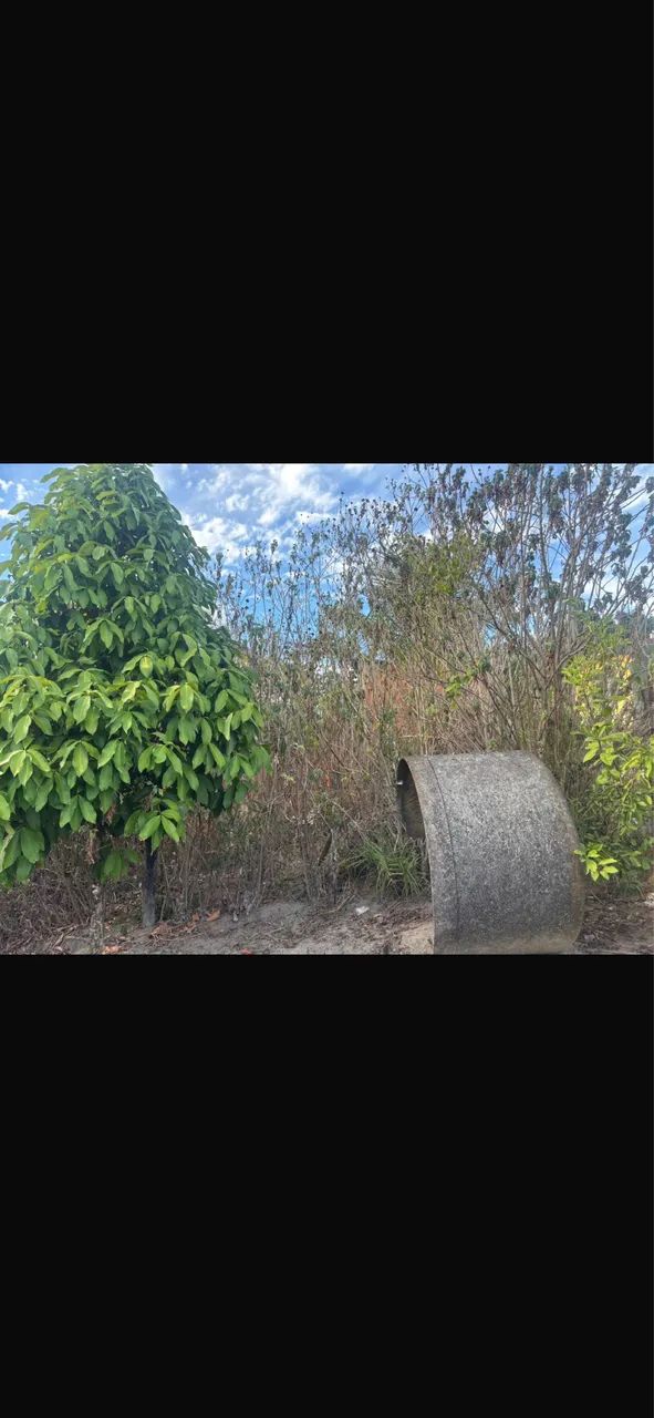 Terreno para vender no curado I - Foto 3