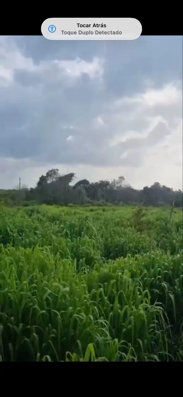 Venda - Foto 5