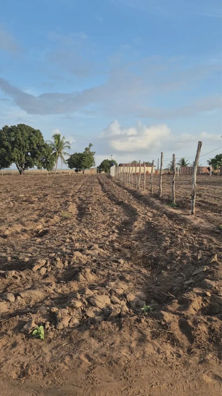 Terreno em sobrado-PB - Foto 5