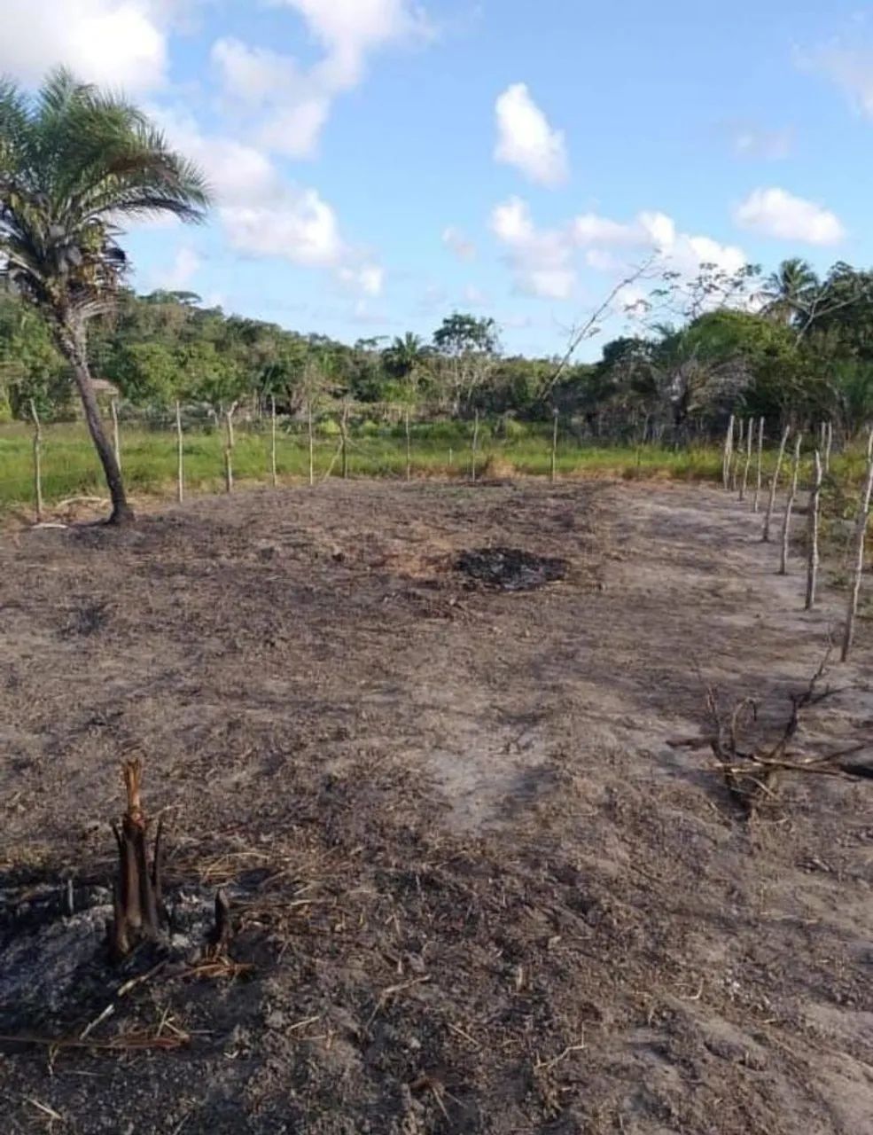Terreno  - Foto 2