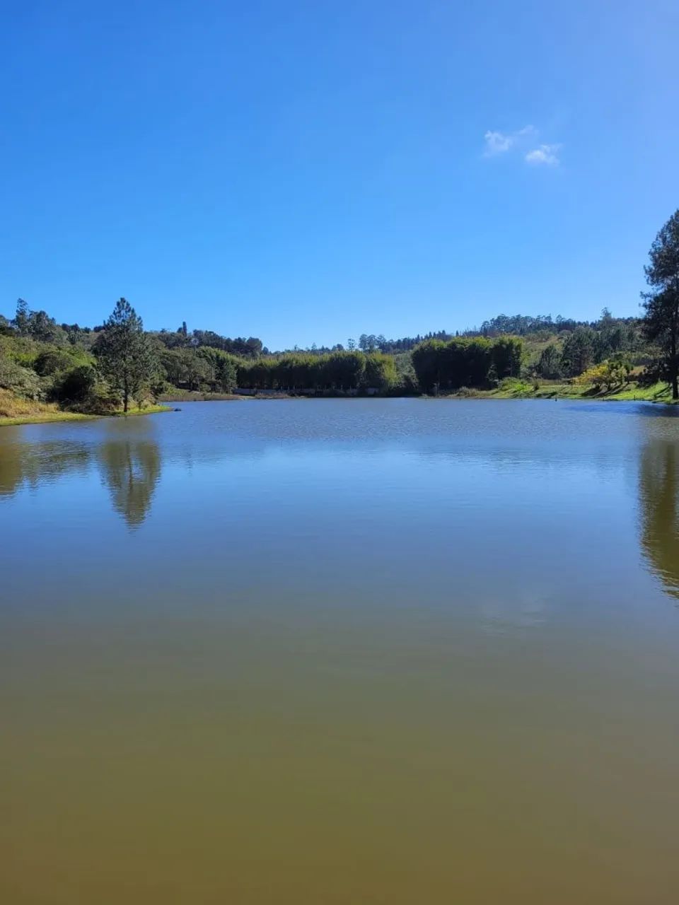 chácara  - Foto 3
