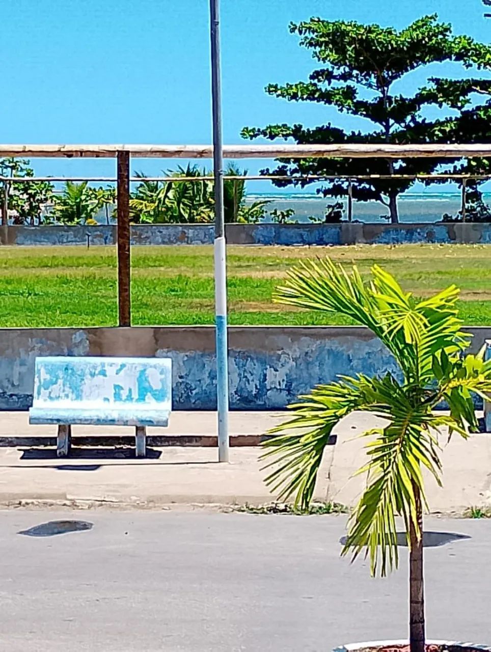 Carnaval em Porto de pedras 