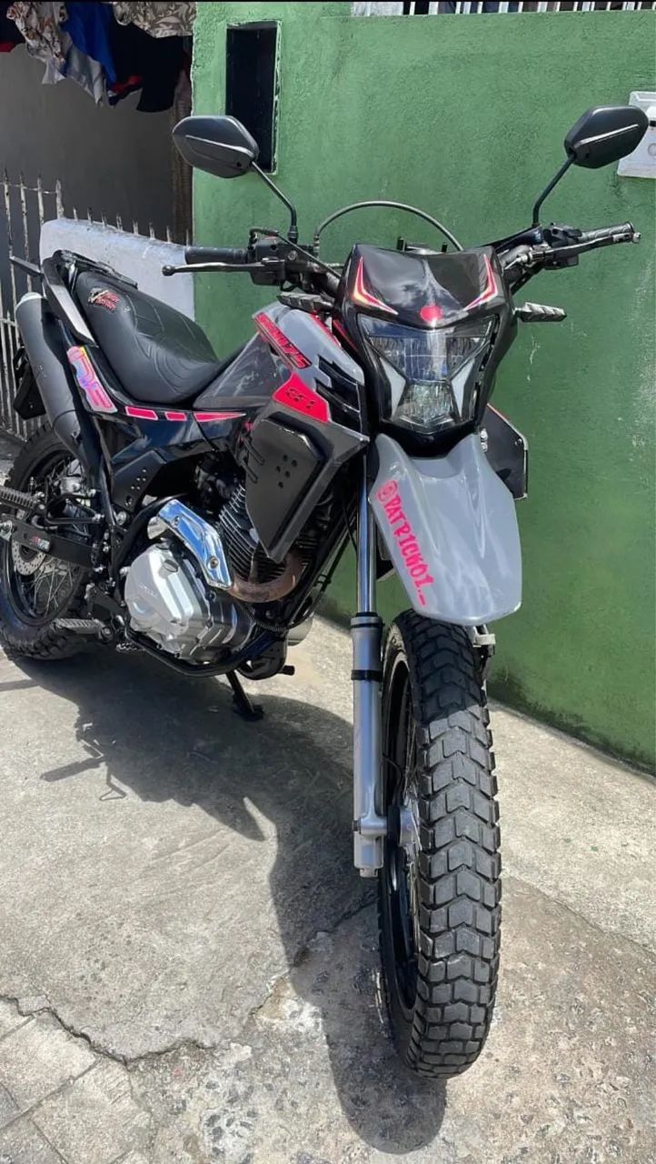 SHI 175 - ANO 2024