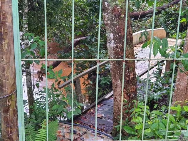 Chacara bela vista de goias com rio  - Foto 4